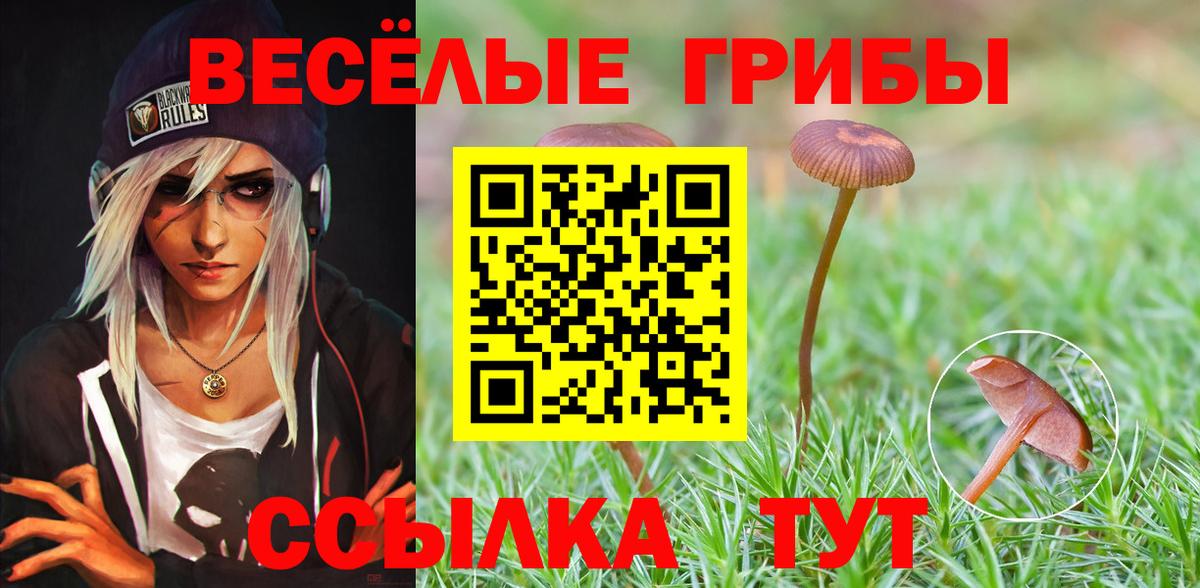 Рассказово  Галлюциногенные грибы Psilocybe  Вход с VPN 